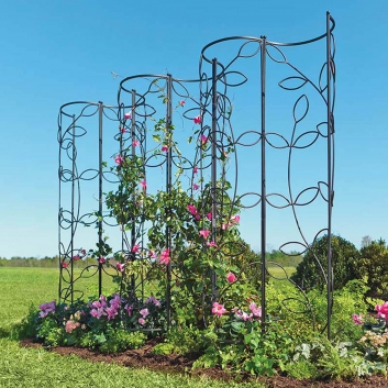 Metal Obelisk Trellis