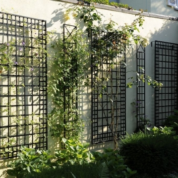 Trellis